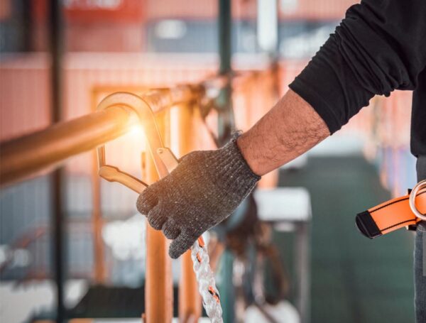 Hoa hồng mới nhằm xây dựng sức mạnh của ngành sản xuất Midlands