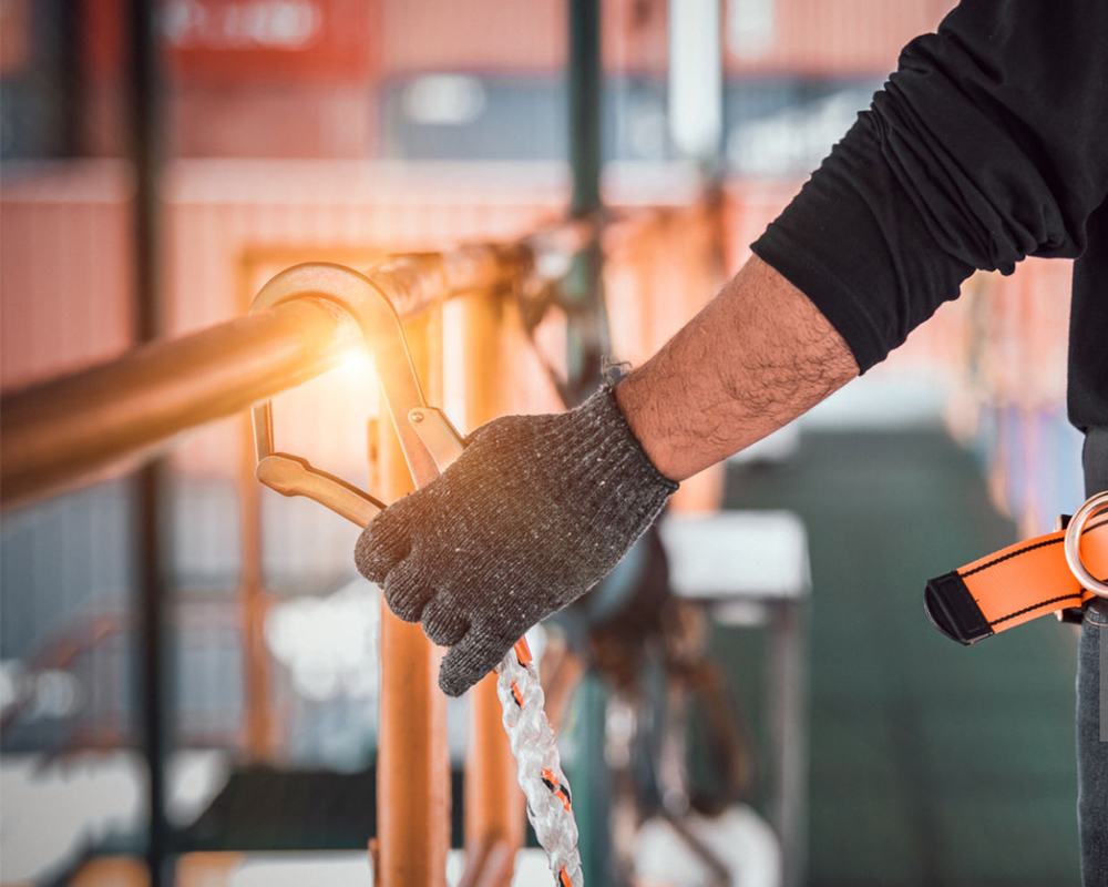 Hoa hồng mới nhằm xây dựng sức mạnh của ngành sản xuất Midlands