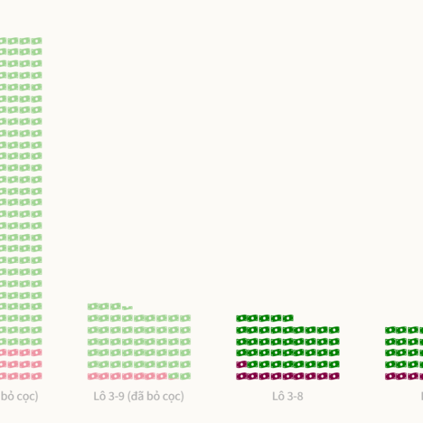 Mức khởi điểm và giá đấu thành công đất Thủ Thiêm
